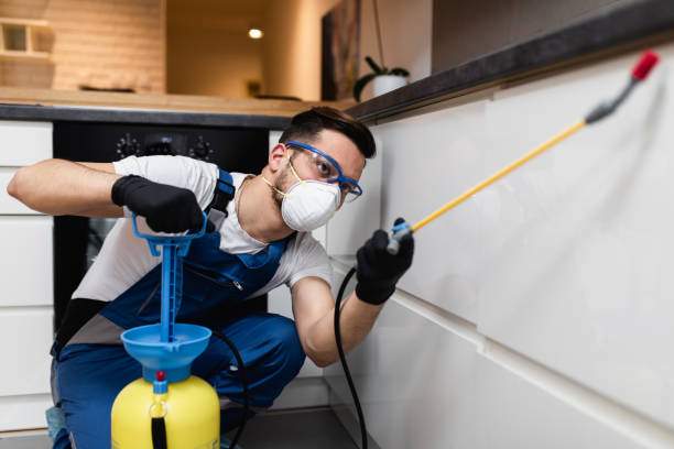 Professional Pest Control in New London, MN
