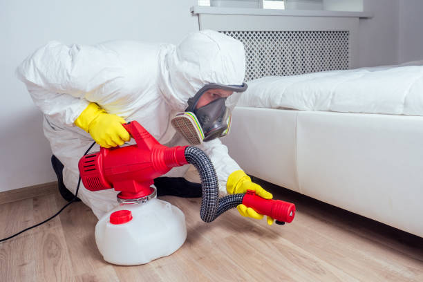 Best Residential Pest Control  in New London, MN