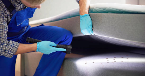 Best Cockroach Control Services  in New London, MN