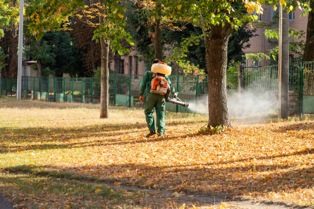 Best Pest Inspection Near Me  in New London, MN